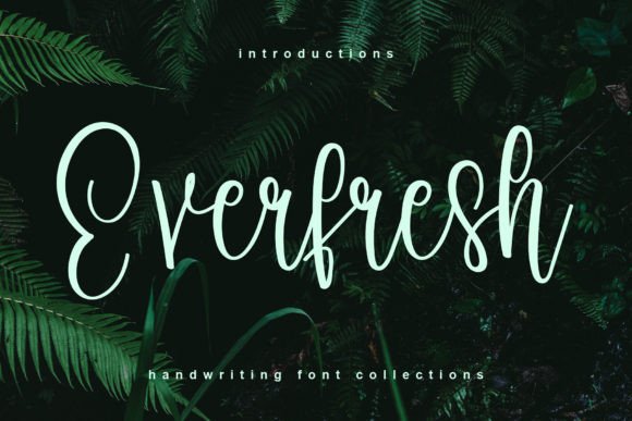 Everfresh: The Handwritten Typeface That Transforms Your Brand Identity