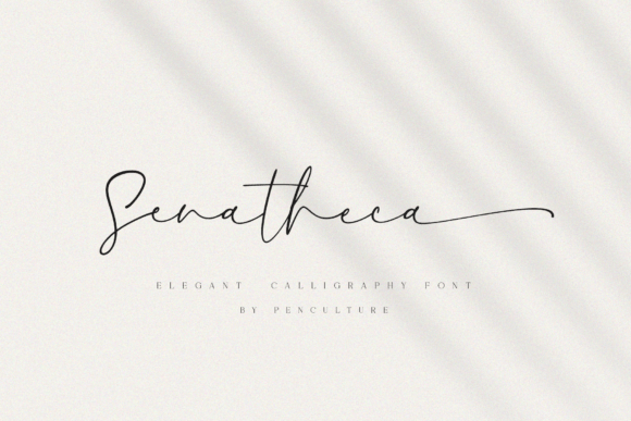 Senatheca Typeface Review for Web Designers