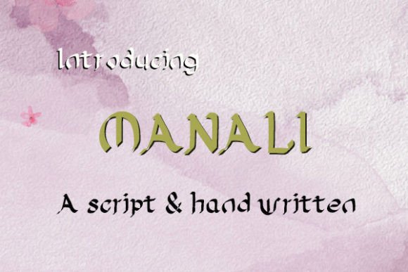 Why Manali Transforms Digital Brand Experiences