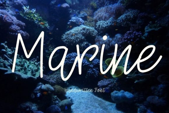 Why Marine Is the Perfect Handwritten Font for Modern Web Design